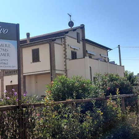 Agriturismo Il Vecchio Olivo Castagneto Carducci Extérieur photo