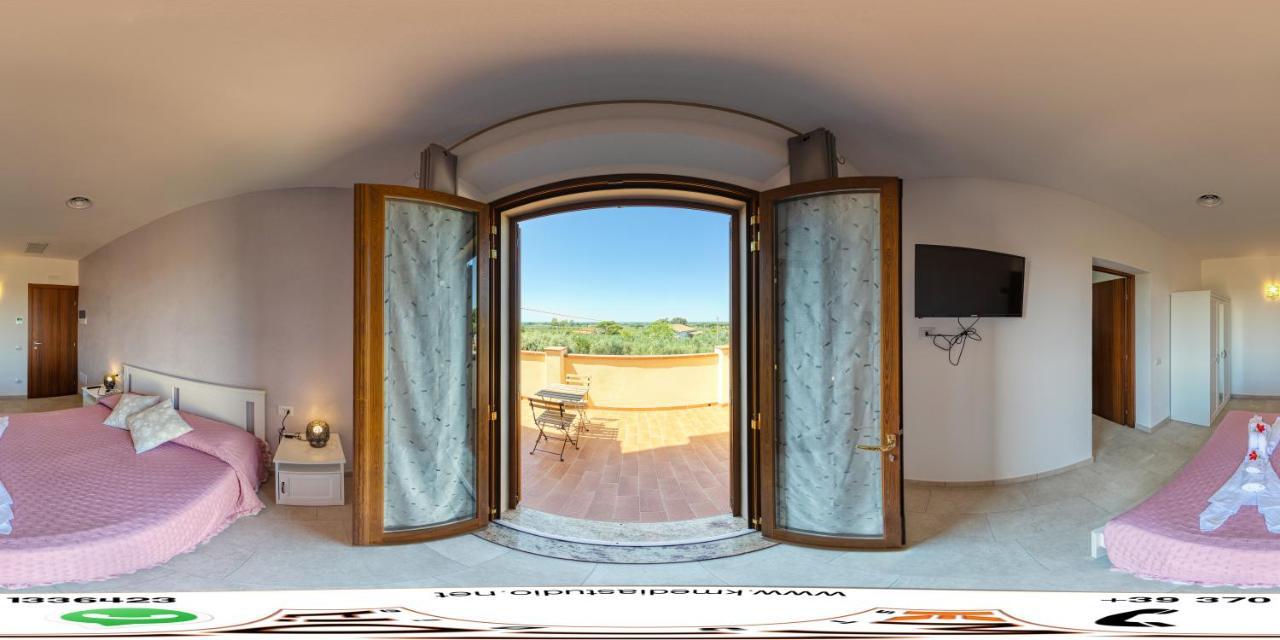 Agriturismo Il Vecchio Olivo Castagneto Carducci Extérieur photo