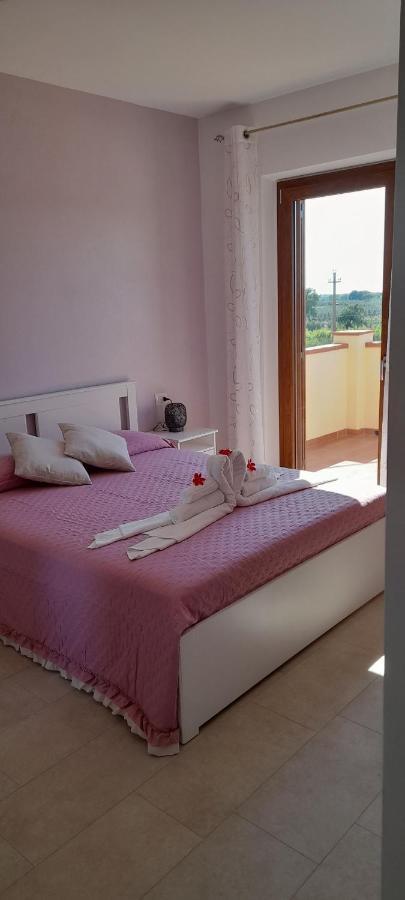 Agriturismo Il Vecchio Olivo Castagneto Carducci Extérieur photo